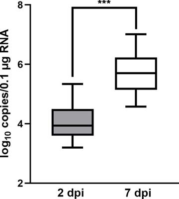 Untargeted LC-MS metabolomics reveals the metabolic responses in olive flounder subjected to hirame rhabdovirus infection